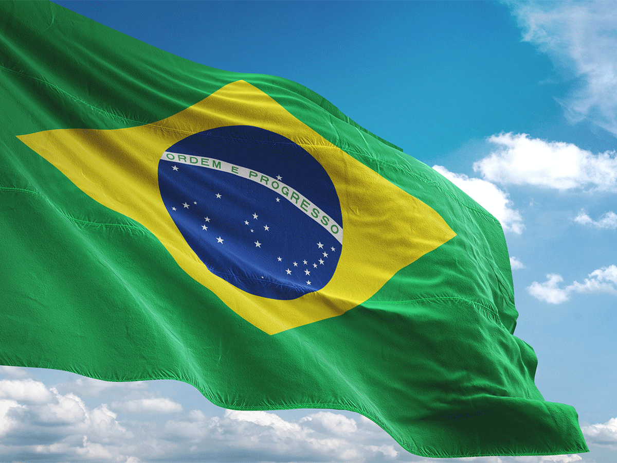 قوانین عمومی برزیل/ بخش اول: واردات برزیل 1 Brazil flag