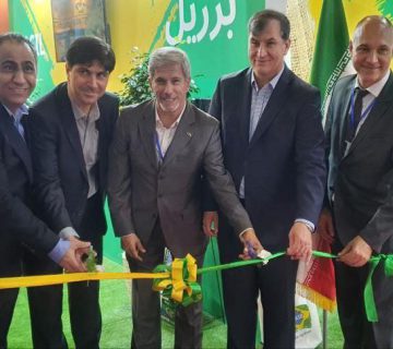 photo 5978956237288618855 y