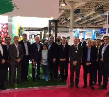 photo 5978956237288618856 y