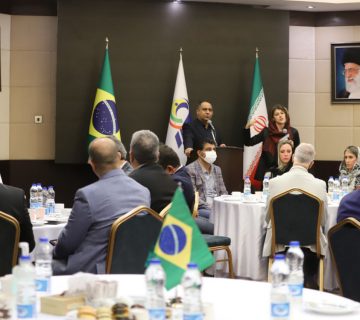 photo 5978956237288618863 y